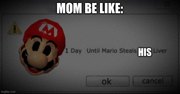 1 day Until Mario Steals Your Liver | MOM BE LIKE: HIS | image tagged in 1 day until mario steals your liver | made w/ Imgflip meme maker
