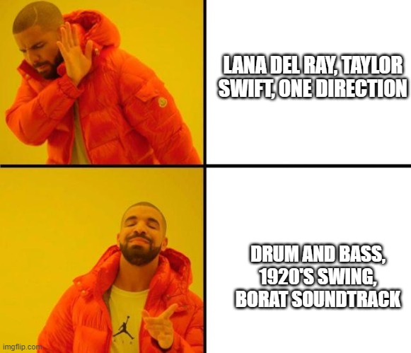 Drake dont like, like | LANA DEL RAY, TAYLOR SWIFT, ONE DIRECTION; DRUM AND BASS, 1920'S SWING, BORAT SOUNDTRACK | image tagged in drake dont like like | made w/ Imgflip meme maker