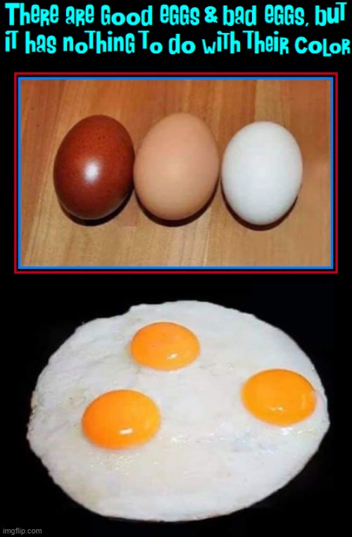 Racism for Dummies | image tagged in vince vance,racism,eggs,memes,brown egg,good egg | made w/ Imgflip meme maker