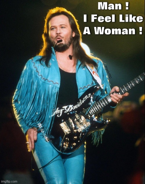 image tagged in country music,shania twain,travis tritt,bud light,beer,drinks | made w/ Imgflip meme maker