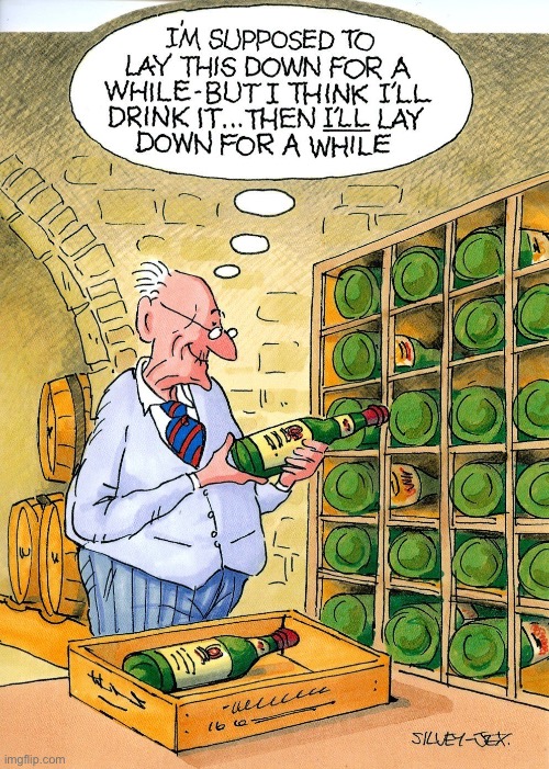 Old man in cellar | image tagged in old man selecting wine,lay down,have a drink,wine cellar,comics | made w/ Imgflip meme maker