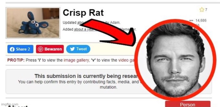Chris Pratt my beloved | made w/ Imgflip meme maker