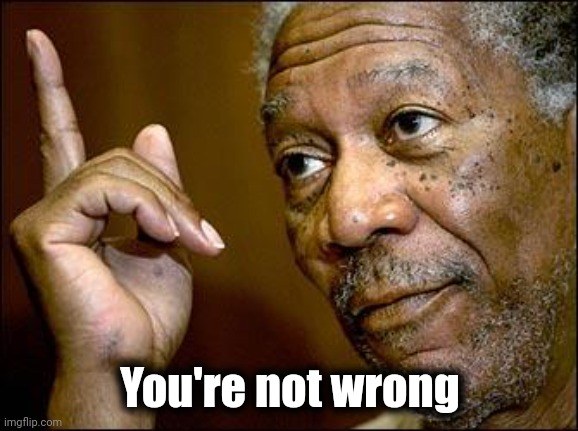 This Morgan Freeman | You're not wrong | image tagged in this morgan freeman | made w/ Imgflip meme maker