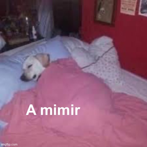 A mimir | A mimir | image tagged in a mimir | made w/ Imgflip meme maker