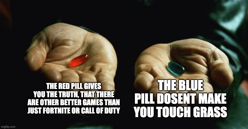 Red pill blue pill | THE RED PILL GIVES YOU THE TRUTH, THAT THERE ARE OTHER BETTER GAMES THAN JUST FORTNITE OR CALL OF DUTY THE BLUE PILL DOSENT MAKE YOU TOUCH G | image tagged in red pill blue pill | made w/ Imgflip meme maker