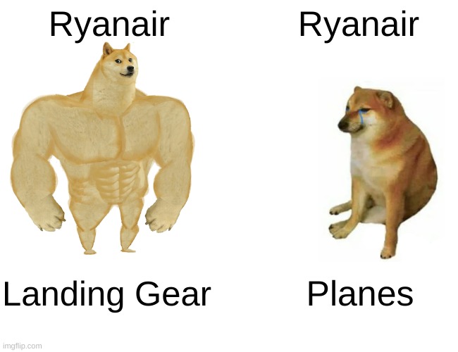 ryanair lore | Ryanair; Ryanair; Landing Gear; Planes | image tagged in memes,buff doge vs cheems | made w/ Imgflip meme maker