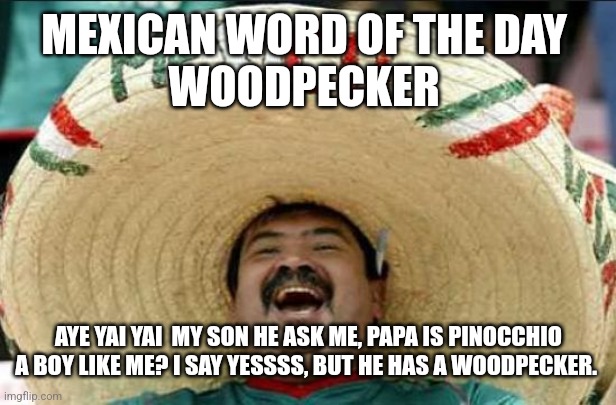 mexican word of the day | MEXICAN WORD OF THE DAY 
WOODPECKER; AYE YAI YAI  MY SON HE ASK ME, PAPA IS PINOCCHIO A BOY LIKE ME? I SAY YESSSS, BUT HE HAS A WOODPECKER. | image tagged in mexican word of the day | made w/ Imgflip meme maker