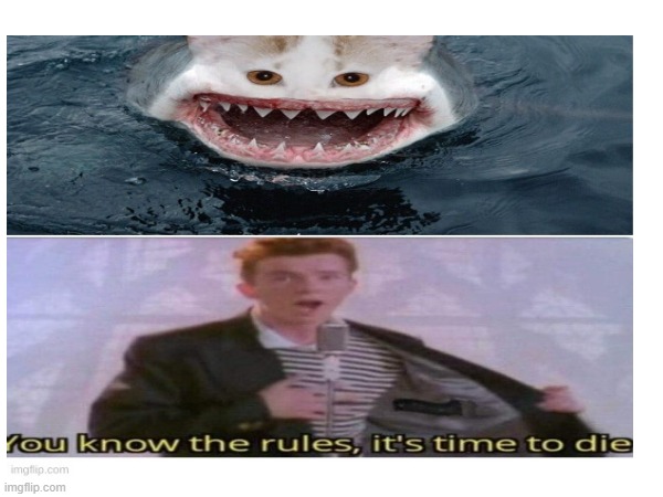 lol | made w/ Imgflip meme maker