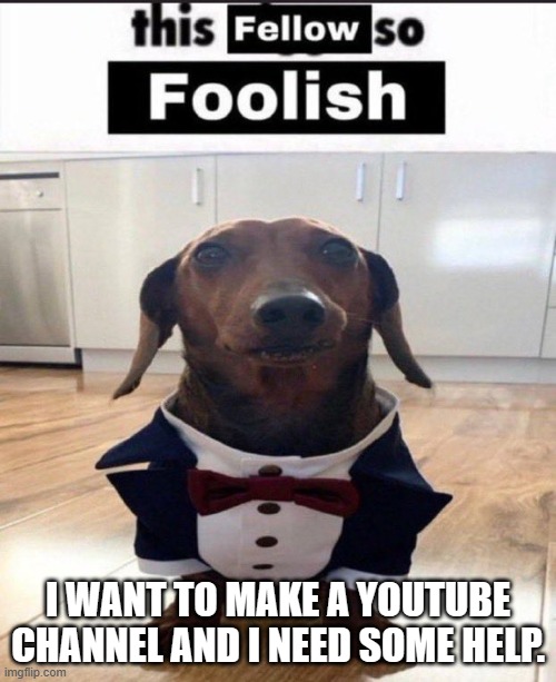 questions in the comments | I WANT TO MAKE A YOUTUBE CHANNEL AND I NEED SOME HELP. | image tagged in this fellow is so foolish | made w/ Imgflip meme maker