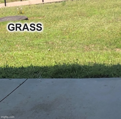 GRASS outside window Blank Meme Template