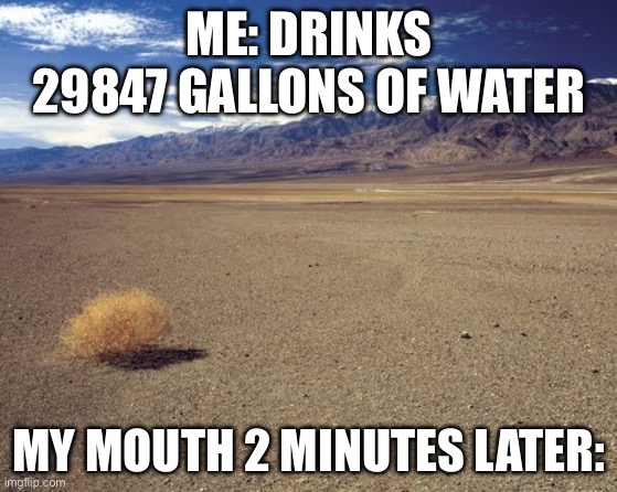 SO ANNOYING | ME: DRINKS 29847 GALLONS OF WATER; MY MOUTH 2 MINUTES LATER: | image tagged in desert tumbleweed,water | made w/ Imgflip meme maker
