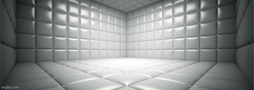 Mental hospital | image tagged in mental hospital | made w/ Imgflip meme maker