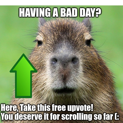 okay I pull up | HAVING A BAD DAY? Here, Take this free upvote!
You deserve it for scrolling so far (: | image tagged in capybara,funny,memes,upvotes,free,happy | made w/ Imgflip meme maker