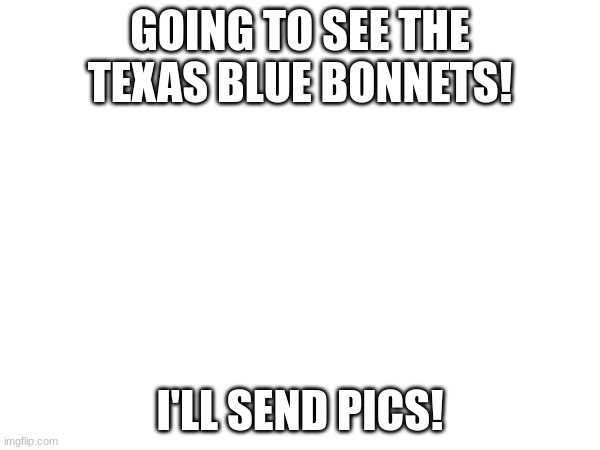 GOING TO SEE THE TEXAS BLUE BONNETS! I'LL SEND PICS! | made w/ Imgflip meme maker
