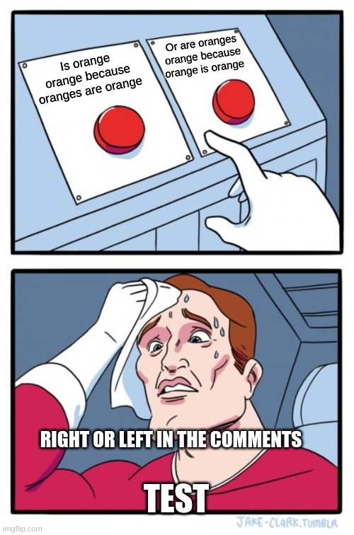 Two Buttons Meme | Or are oranges orange because orange is orange; Is orange orange because oranges are orange; RIGHT OR LEFT IN THE COMMENTS; TEST | image tagged in memes,two buttons | made w/ Imgflip meme maker