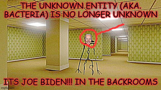 JOE BIDEN IN THE BACKROOMS | THE UNKNOWN ENTITY (AKA. BACTERIA) IS NO LONGER UNKNOWN; ITS JOE BIDEN!!! IN THE BACKROOMS | image tagged in joe biden,the backrooms,backrooms | made w/ Imgflip meme maker