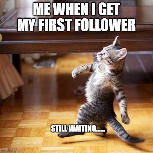 Swagger cat | ME WHEN I GET MY FIRST FOLLOWER; STILL WAITING...... | image tagged in swagger cat | made w/ Imgflip meme maker