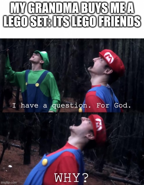 I have a question. For God | MY GRANDMA BUYS ME A LEGO SET: ITS LEGO FRIENDS | image tagged in i have a question for god | made w/ Imgflip meme maker