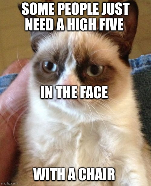 cats | SOME PEOPLE JUST NEED A HIGH FIVE; IN THE FACE; WITH A CHAIR | image tagged in memes,grumpy cat | made w/ Imgflip meme maker