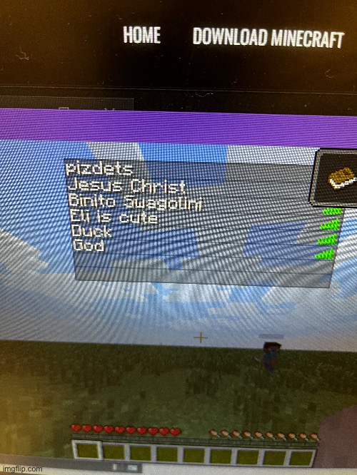 Dang Minecraft at school be getting crazy (some people started making fun of my name) | image tagged in stupid,minecraft | made w/ Imgflip meme maker