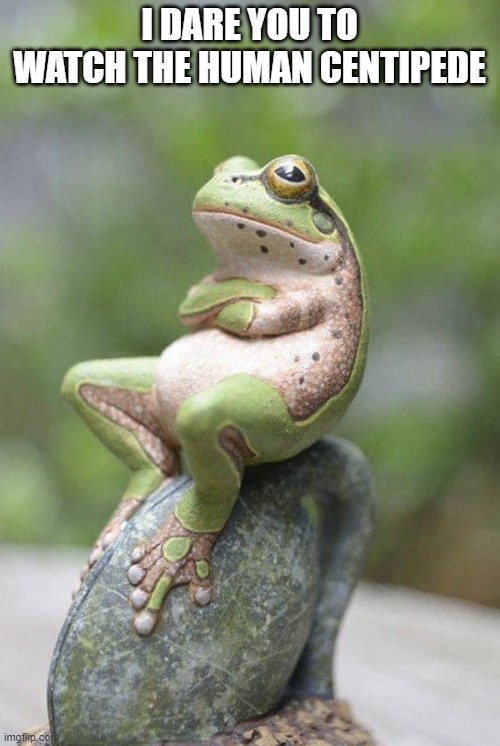 I Dare You Frog | I DARE YOU TO WATCH THE HUMAN CENTIPEDE | image tagged in i dare you frog | made w/ Imgflip meme maker