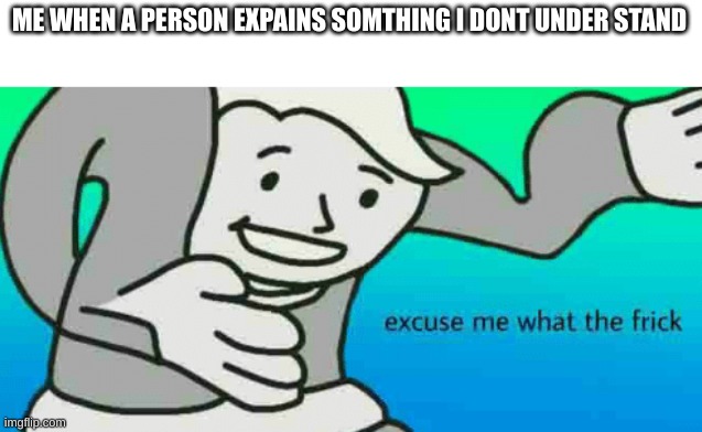 huh? | ME WHEN A PERSON EXPAINS SOMTHING I DONT UNDER STAND | image tagged in excuse me what the frick | made w/ Imgflip meme maker
