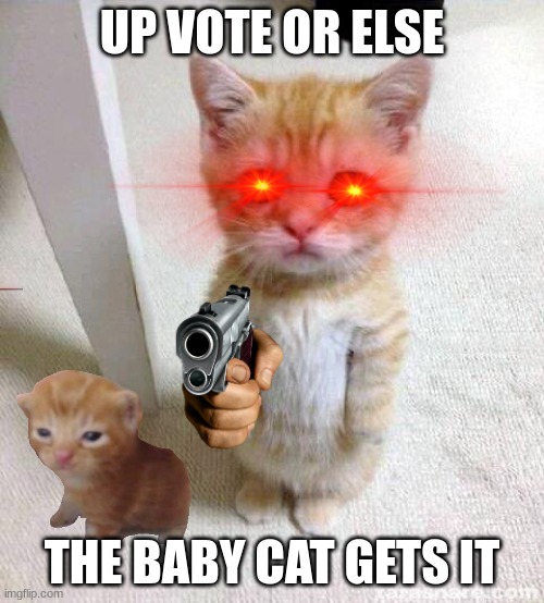 evil cat | UP VOTE OR ELSE; THE BABY CAT GETS IT | image tagged in memes,cute cat | made w/ Imgflip meme maker