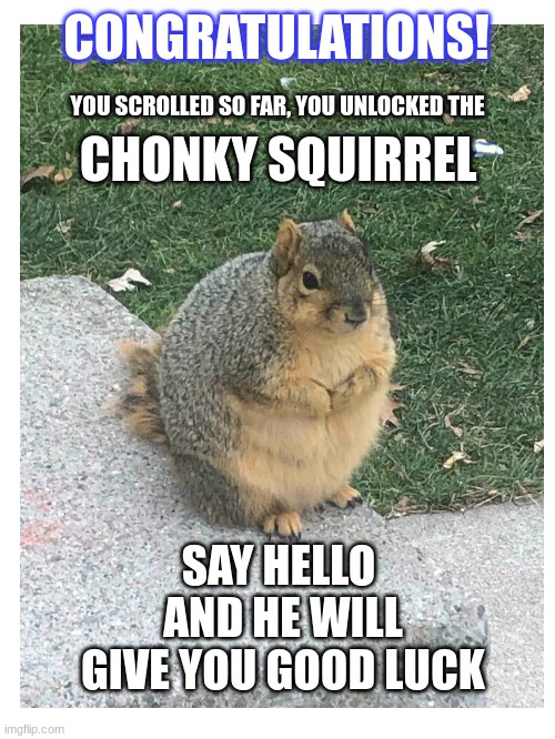CONGRATULATIONS! YOU SCROLLED SO FAR, YOU UNLOCKED THE; CHONKY SQUIRREL; SAY HELLO 
AND HE WILL GIVE YOU GOOD LUCK | image tagged in big,squirrel,meme,why are you reading the tags | made w/ Imgflip meme maker