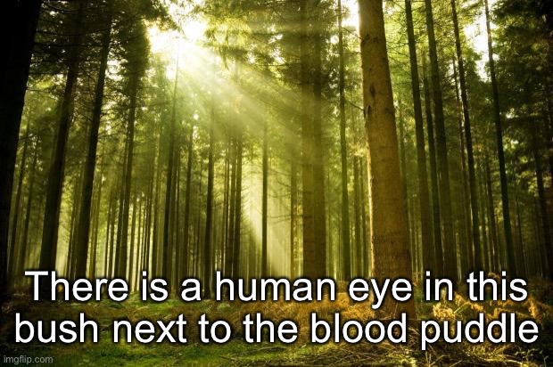 sunlit forest | There is a human eye in this bush next to the blood puddle | image tagged in sunlit forest | made w/ Imgflip meme maker