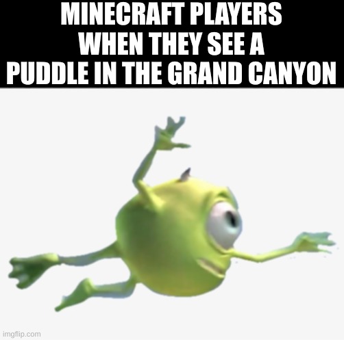 MINECRAFT PLAYERS WHEN THEY SEE A PUDDLE IN THE GRAND CANYON | made w/ Imgflip meme maker