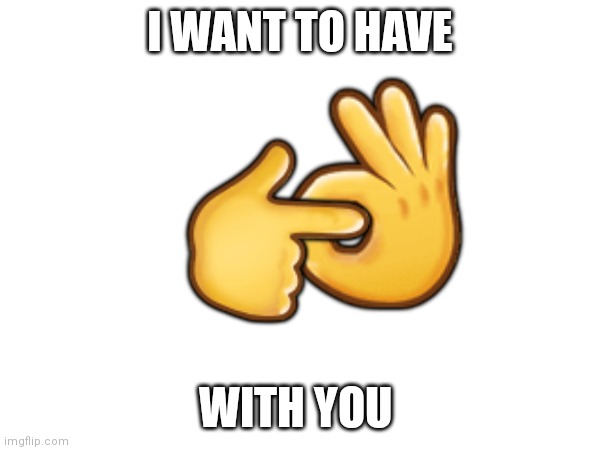 Es; e; eks | I WANT TO HAVE; 👌; 👉; WITH YOU | image tagged in memes,love,gestures | made w/ Imgflip meme maker