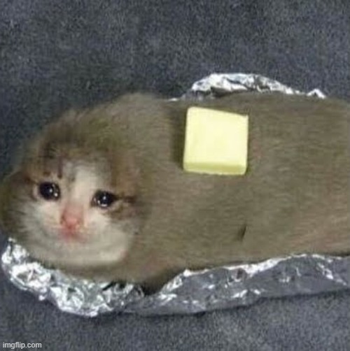 Sad potato cat | image tagged in sad potato cat | made w/ Imgflip meme maker
