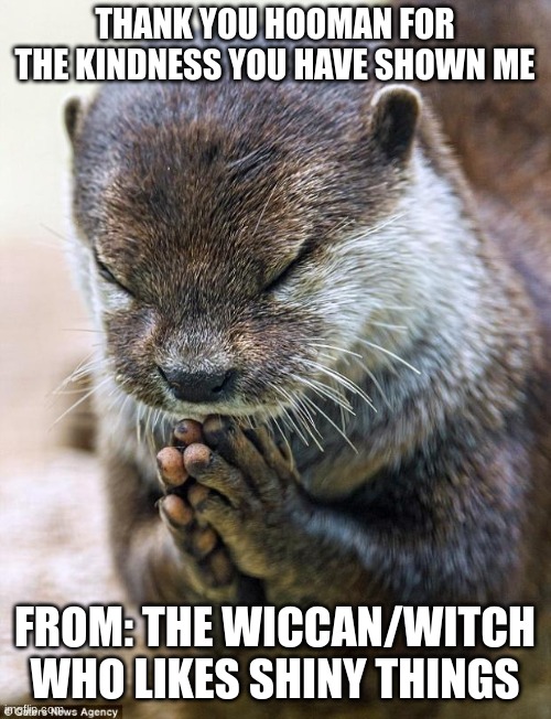 Thank you Lord Otter | THANK YOU HOOMAN FOR THE KINDNESS YOU HAVE SHOWN ME FROM: THE WICCAN/WITCH WHO LIKES SHINY THINGS | image tagged in thank you lord otter | made w/ Imgflip meme maker