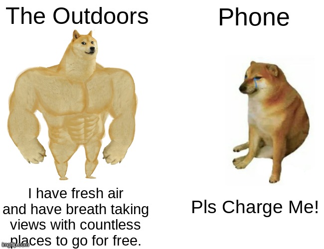 Hanly, OVER HERE! | The Outdoors; Phone; I have fresh air and have breath taking views with countless places to go for free. Pls Charge Me! | image tagged in memes,buff doge vs cheems | made w/ Imgflip meme maker