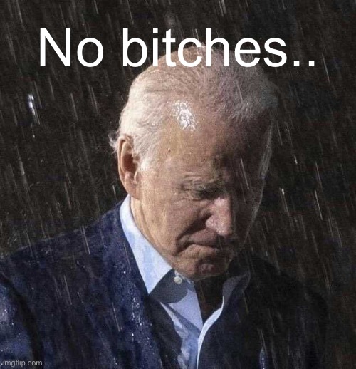 Biden sad | No bitches.. | image tagged in biden sad | made w/ Imgflip meme maker
