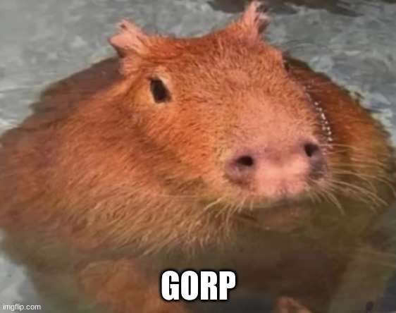 He is Gorp | GORP | image tagged in memes | made w/ Imgflip meme maker