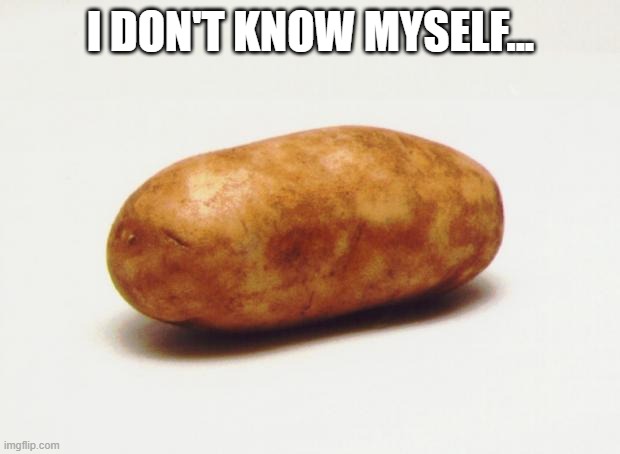the rl potato | I DON'T KNOW MYSELF... | image tagged in the rl potato | made w/ Imgflip meme maker
