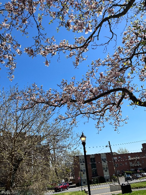 The way ingflip downgrades the image sucks | made w/ Imgflip meme maker