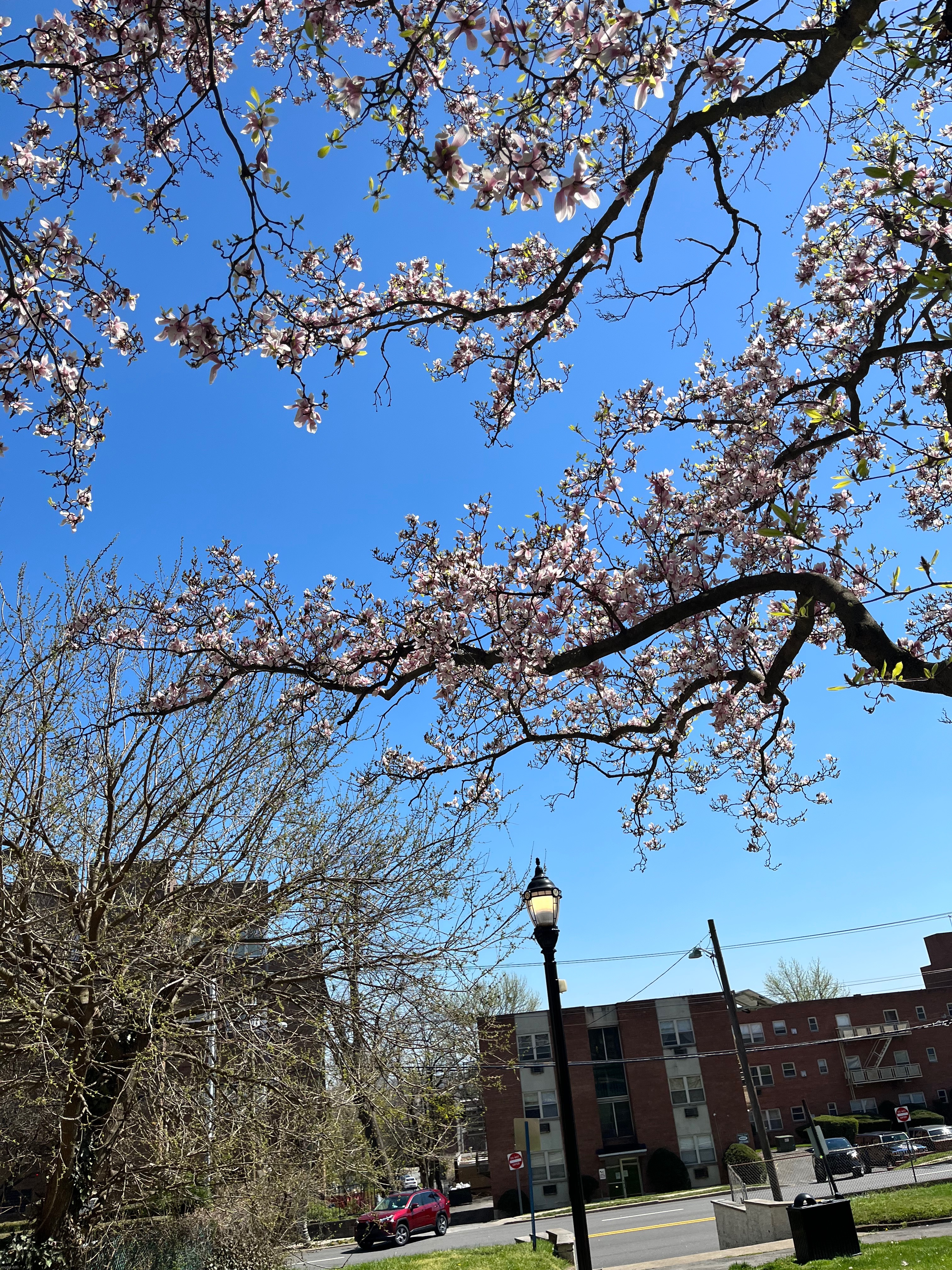 Better res | made w/ Imgflip meme maker