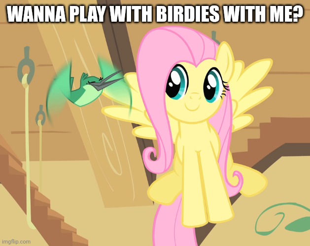 WANNA PLAY WITH BIRDIES WITH ME? | made w/ Imgflip meme maker