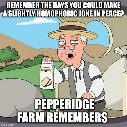 Pepperidge Farm Remembers Meme | REMEMBER THE DAYS YOU COULD MAKE A SLIGHTLY HOMOPHOBIC JOKE IN PEACE? PEPPERIDGE FARM REMEMBERS | image tagged in memes,pepperidge farm remembers | made w/ Imgflip meme maker