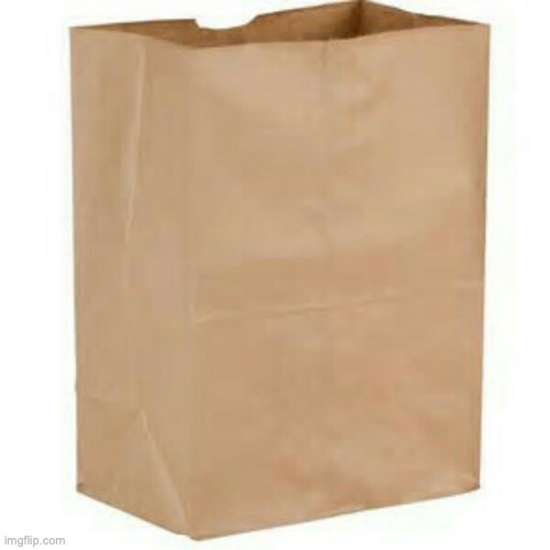 Paper bag | image tagged in paper bag | made w/ Imgflip meme maker