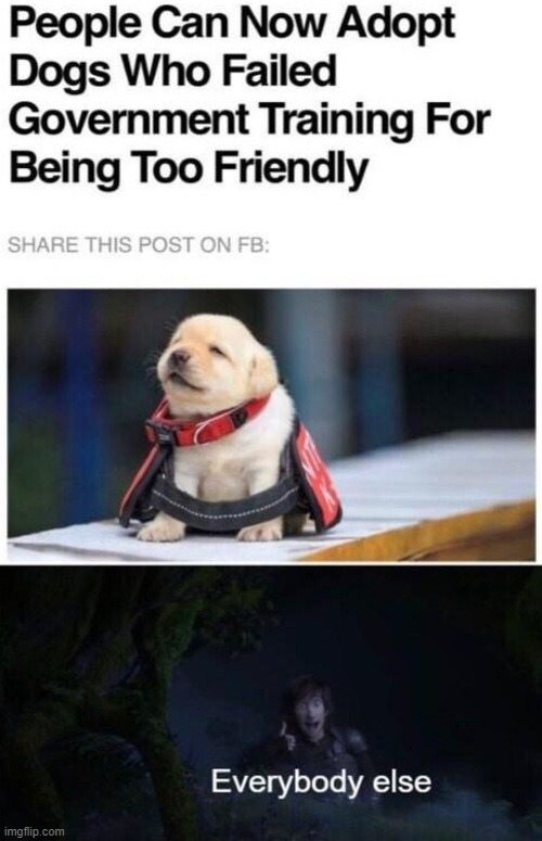 image tagged in wholesome | made w/ Imgflip meme maker