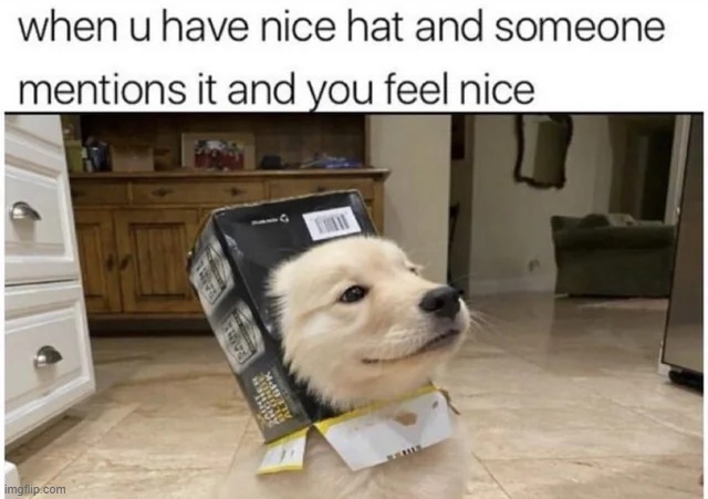 image tagged in wholesome | made w/ Imgflip meme maker