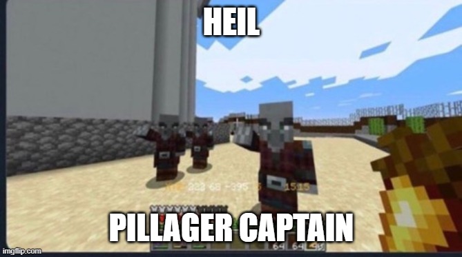 we do a little trolling | HEIL; PILLAGER CAPTAIN | image tagged in pillager nazi salute | made w/ Imgflip meme maker