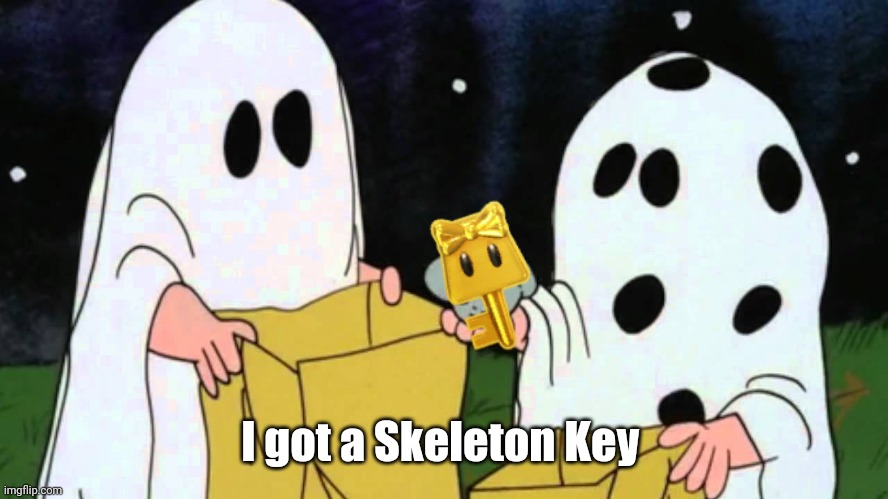 Charlie brown rock | I got a Skeleton Key | image tagged in charlie brown rock | made w/ Imgflip meme maker
