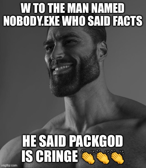 W TO nobody.exe FOR SAYING THESE TRUE WORDS | W TO THE MAN NAMED NOBODY.EXE WHO SAID FACTS; HE SAID PACKGOD IS CRINGE 👏👏👏 | image tagged in giga chad | made w/ Imgflip meme maker