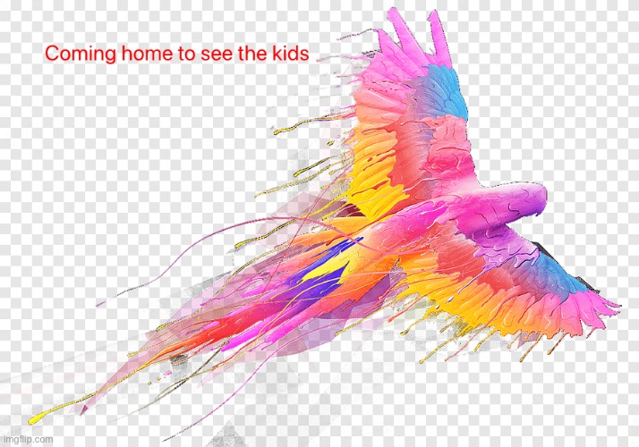 Returning | image tagged in bird,text,flying,colorful,kids,return | made w/ Imgflip meme maker