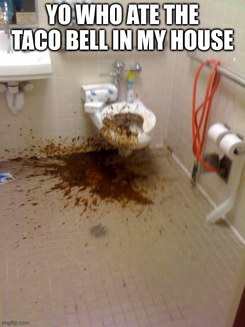 Girls poop too | YO WHO ATE THE TACO BELL IN MY HOUSE | image tagged in taco bell | made w/ Imgflip meme maker