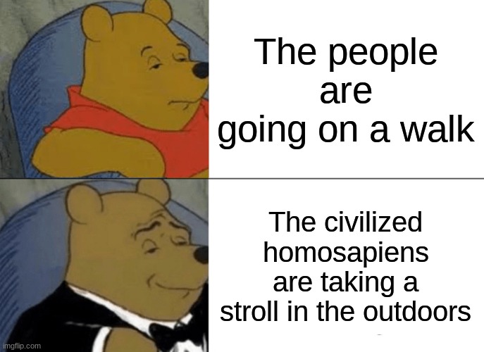 Tuxedo Winnie The Pooh | The people are going on a walk; The civilized homosapiens are taking a stroll in the outdoors | image tagged in memes,tuxedo winnie the pooh | made w/ Imgflip meme maker